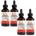 Maxx Herb Ashwagandha Extract – Max força líquido absorve melhor do que cápsulas ou pó - para resistência, memória e suporte imunológico - 4 garrafas, 4 Oz cada (240 Servings)
