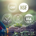 ML Naturals Cogumelos Complexo 120 Cápsulas Vegetais. 6 Cogumelos Essenciais: Orgânico Reishi, Mane Leão, Cordyceps, Suporte Imune Saudável, NSF-Certificado e cGMP-Compliant.