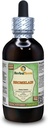 Bromelaína (Ananas Comosus) Glicerita, pó seco Extrato líquido sem álcool (Nome da marca: HerbalTerra, Feito orgulhosamente nos EUA) 4 fl.oz (120 ml)
