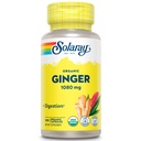 SOLARAY Ginger orgânico 1080 mg - Suplementos de gengibre orgânica - Alivia náusea e vômito associado com doença de movimento, apoia a saúde conjunta - Vegan, Não Drowsy, 60-Day Garantia, 50 Servings