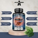 APOLLO'S HEGEMONY Alpha-GPC 600mg por dose diária - 90 Vegan Choline Cápsulas - 99% Choline Alfoscerate Suplemento dietético - Lipid Choline - Cápsulas de memória e concentração